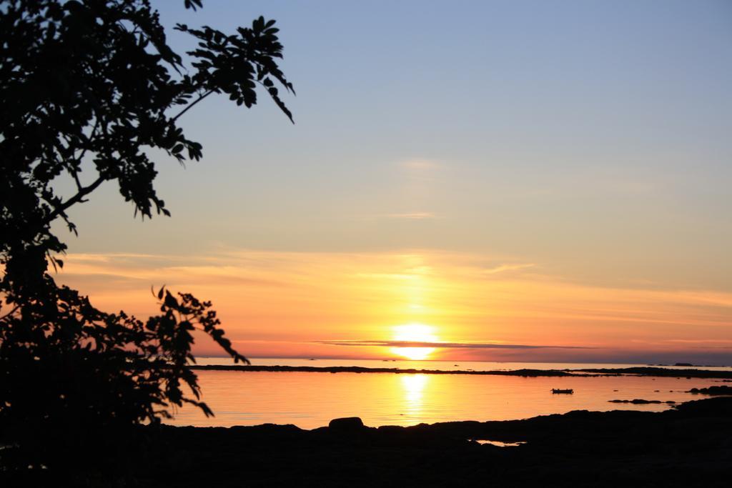 Borghildstua Feriehus Melbu Oda fotoğraf