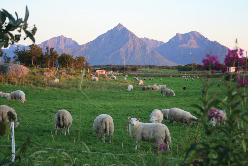 Borghildstua Feriehus Melbu Oda fotoğraf