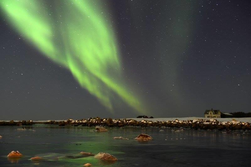 Borghildstua Feriehus Melbu Oda fotoğraf